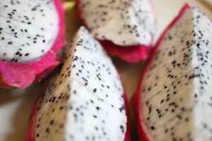 dragon-fruit-1213510_640