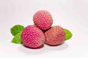 lychees-605400_640